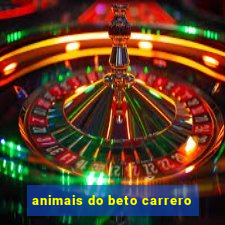 animais do beto carrero